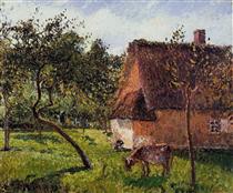 A Field in Varengeville - Camille Pissarro