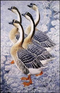 Chinese Geese - Charles Tunnicliffe