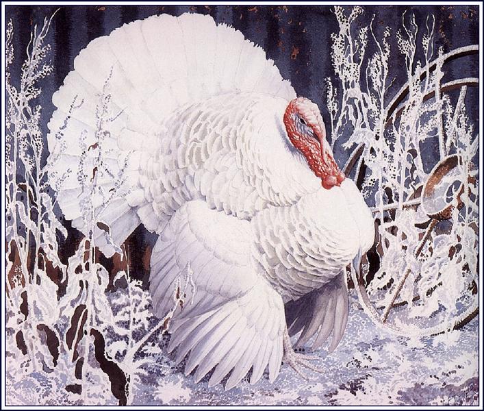 White Turkey - Charles Tunnicliffe