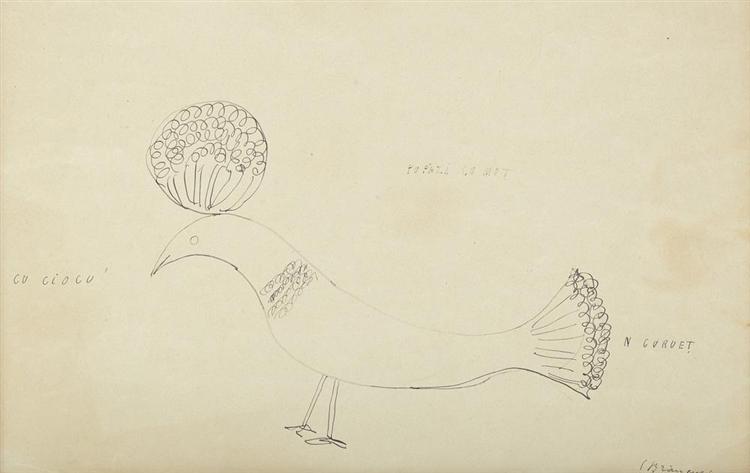 Hoopoe with Topknot, c.1929 - 康斯坦丁‧布朗庫西