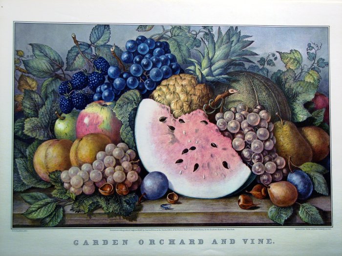 Garden Orchard and Vine, 1867 - Куррье и Айвз