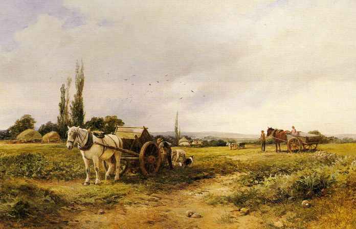 In the mangel field, 1902 - David Bates