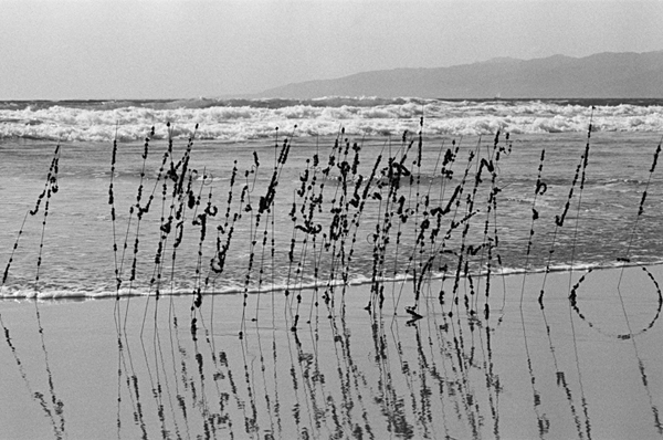 Hair and Wire, Venice Beach, 1977 - David Hammons