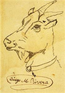 Head of a Goat - Diego Rivera