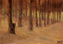 Forest with Sunlit Clearing in the Background - Egon Schiele