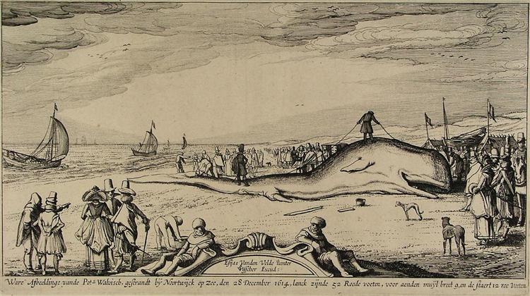 Sperm whale on the beach of Noordwijk, 1614 - Эсайас ван де Вельде