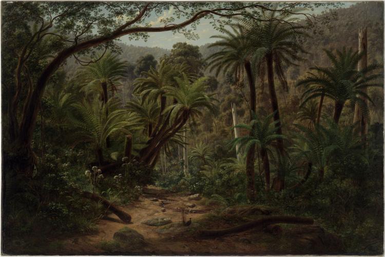 Ferntree Gully in the Dandenong Ranges, 1857 - Ойген фон Герард