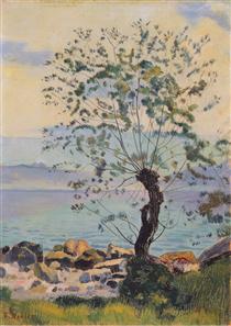 Willow tree by the lake - Фердинанд Ходлер