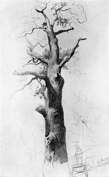 The Trunk of an Old Oak, 1867 - 1869 - Федір Васільєв