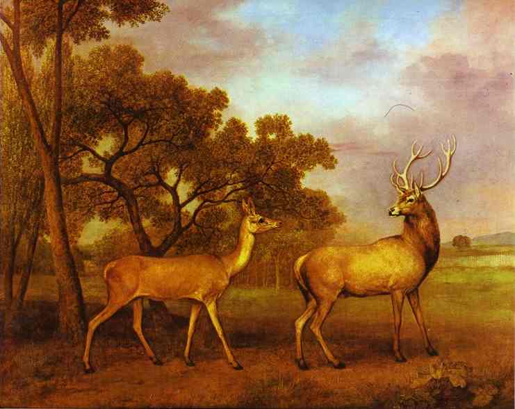 Red Deer Stag and Hind, 1792 - Джордж Стаббс