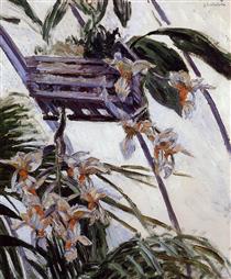 Orchids - Gustave Caillebotte