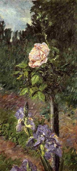 Rose with Purple Iris, Garden at Petit Gennevilliers, c.1892 - Гюстав Кайботт