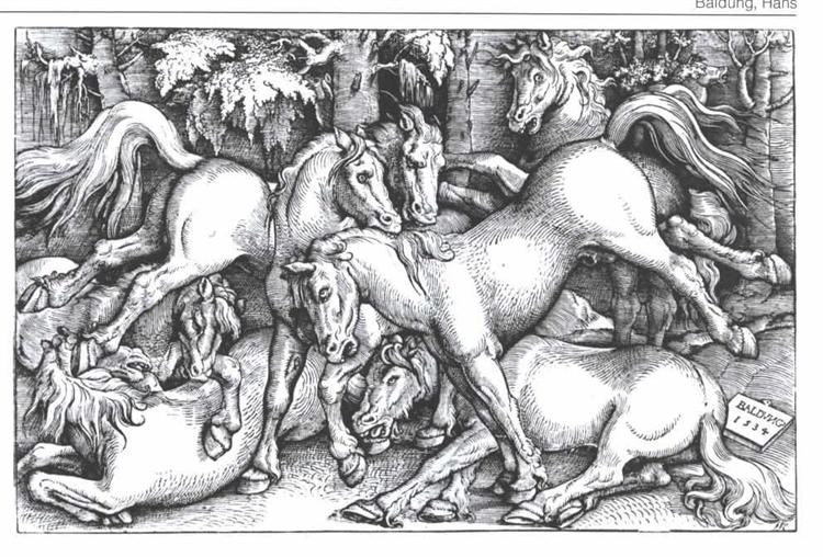 Семь дерущихся диких лошадей, 1534 - Ханс Бальдунг