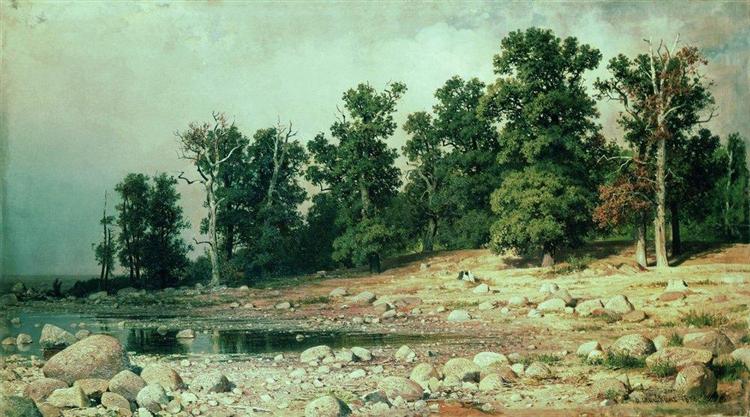 Coast of Oak grove of Peter the Great in Sestroretsk, 1885 - Iván Shishkin