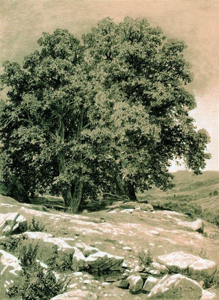 Crimean Nut-Tree, 1884 - Iwan Iwanowitsch Schischkin