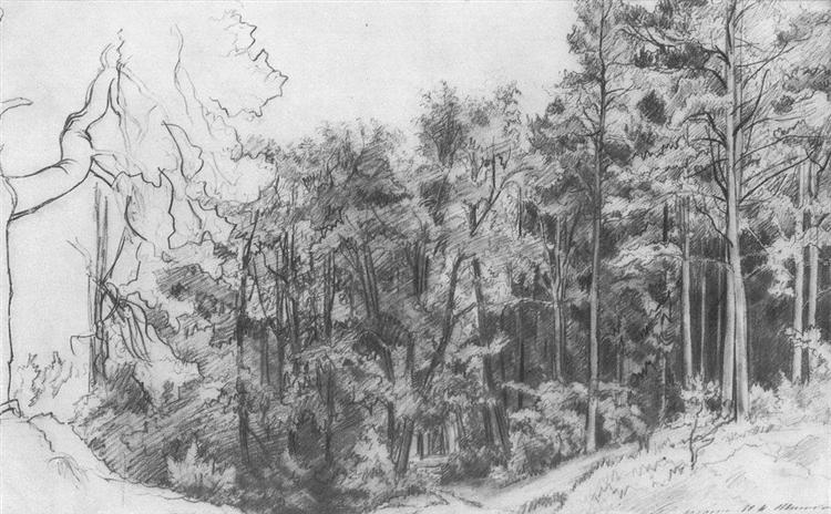 Deciduous Forest, 1873 - 伊凡·伊凡諾維奇·希施金