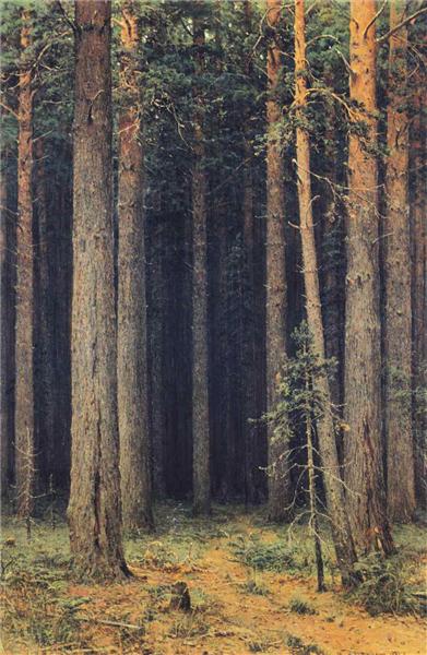 Reserva Florestal. Bosque de Pinheiros, 1881 - Ivan Shishkin