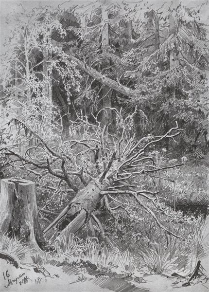 In the forest. Fallen Tree, 1878 - Iván Shishkin