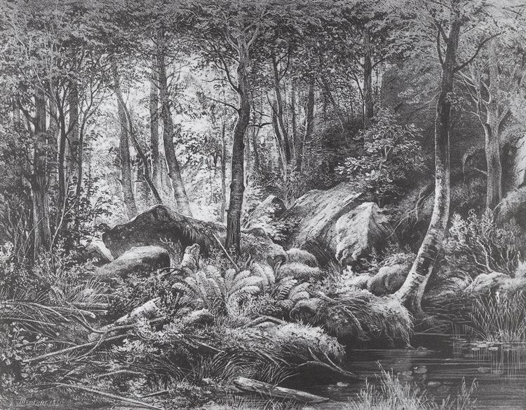 Трущоба (Вид на острове Валааме), 1860 - Иван Шишкин