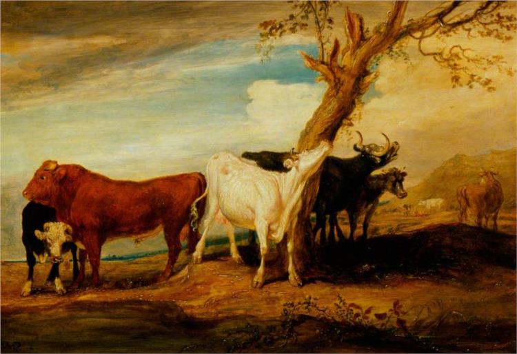 Cattle - James Ward