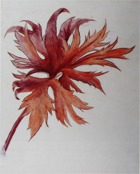 Orange and purple leafspray, 1870 - John Ruskin