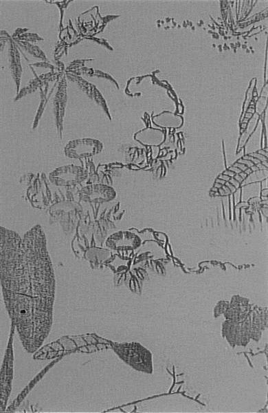 Квіти і водяні лілії в Манкве, Томе - Кацусіка Хокусай