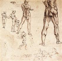 Анатомічні дослідження - Леонардо да Вінчі