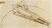 Design for a flying machine - Léonard de Vinci
