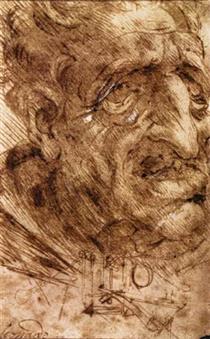 Head of an Old Man - Léonard de Vinci