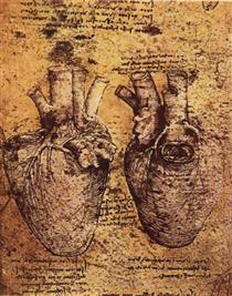 Heart and its Blood Vessels - 達文西