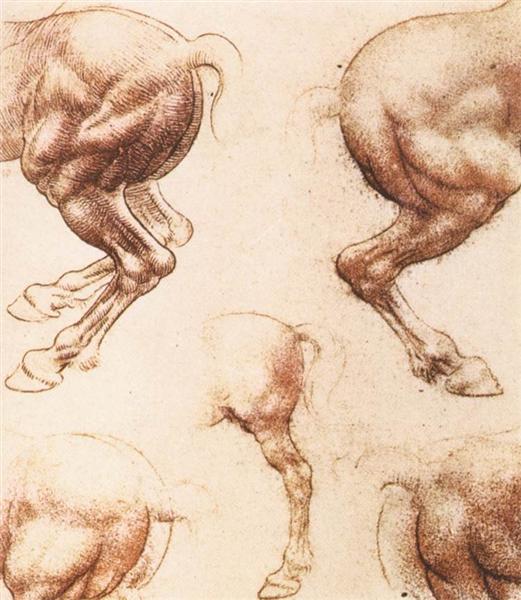 Study of horses, c.1505 - Леонардо да Винчи