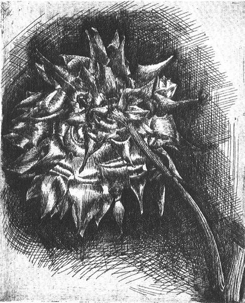 Flower, 1920 - M. C. Escher