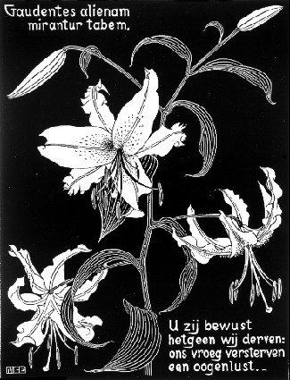 Flowers, 1931 - M.C. Escher