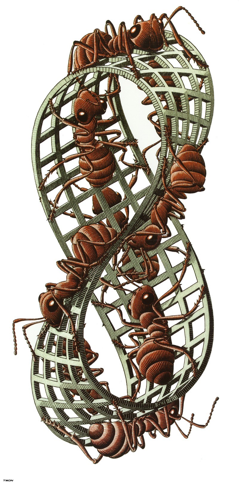 Moebius Strip II, 1964 M.C. Escher