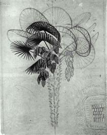 Palm Tree sketch - M.C. Escher