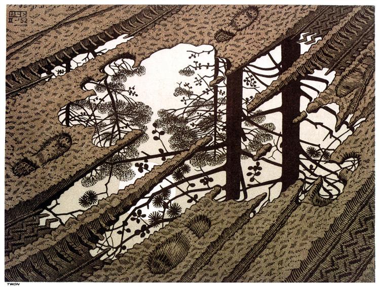 Puddle, 1952 - M. C. Escher