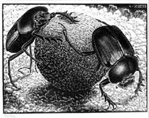 Scarabs - M.C. Escher