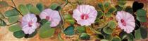 A Sand-Binding Plant of Tropical Shores - Marianne North