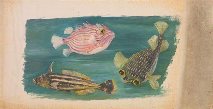 Fishes, 1870 - Marianne North