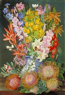 Wild Flowers of Ceres, South Africa - Marianne North
