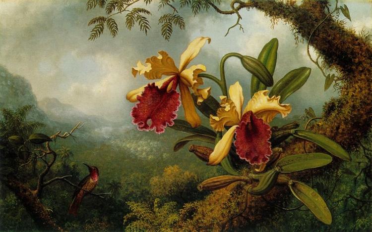Orchids and Hummingbird - Martin Johnson Heade