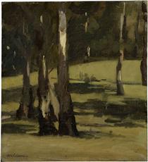Shadows, landscape with trees - Max Meldrum