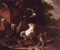 Birds and a Spaniel in a Garden - Melchior d'Hondecoeter