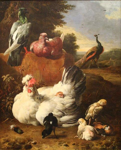 La poule blanche, 1670 - Мельхіор де Хондекутер