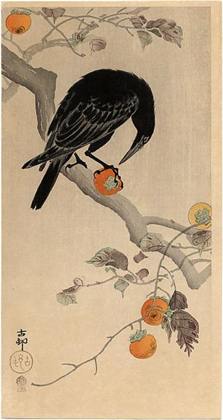 Crow eating a Persimmon, c.1910 - 小原古邨
