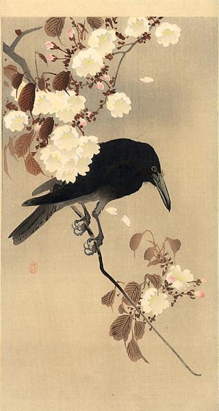 Crow on a Cherry Branch, c.1910 - 小原古邨