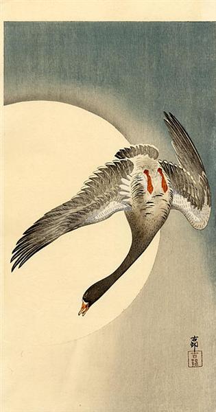 Flying white-fronted goose seen from underneath in front of the moon - Ohara Koson