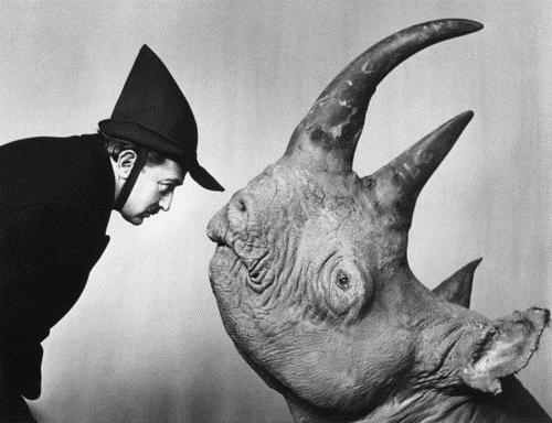 Dali and Rhinoceros - Philippe Halsman