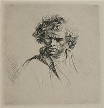 A Man with Curly Hair - Rembrandt