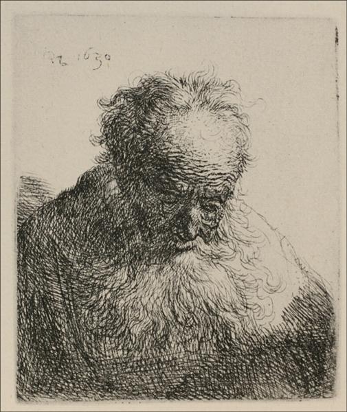 An Old Man with a Large Beard, 1630 - Rembrandt van Rijn